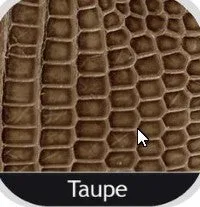 Lizard Belt: Taupe
