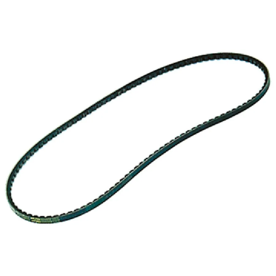 Same Fan Belt
